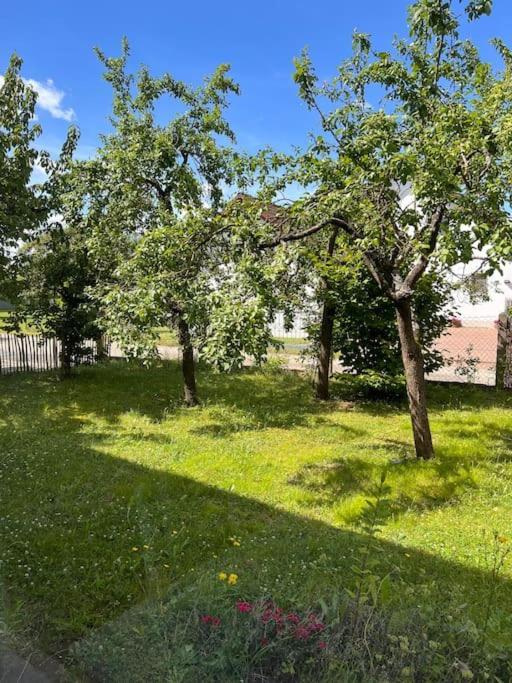 Wunderschoene Wohnung In Perfekter Lage Хильпольтштайн Экстерьер фото